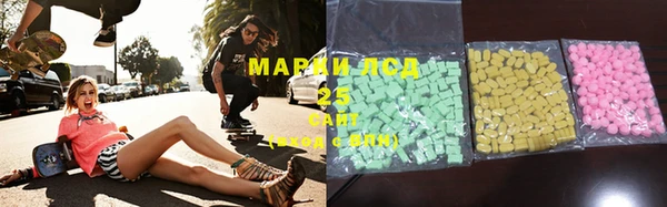 мяу мяу мука Аркадак