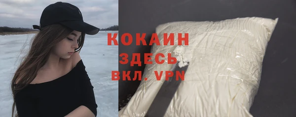 мяу мяу мука Аркадак