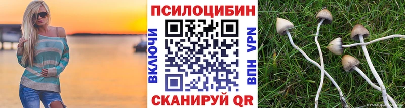 Псилоцибиновые грибы Magic Shrooms  omg ссылка  Елабуга 